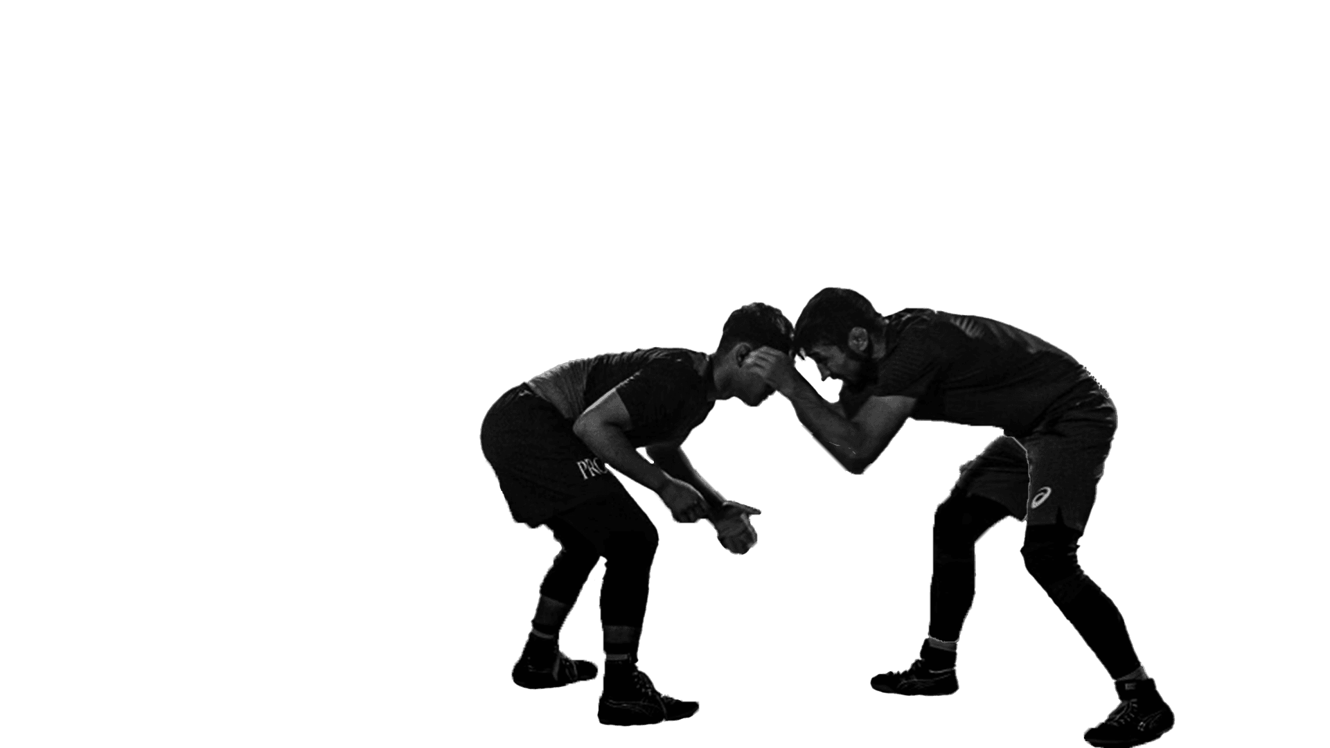 Dandenong Freestyle Wrestling Banner